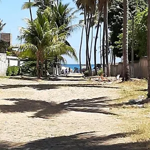 Mandakaru 12 Pôrto das Galinhas